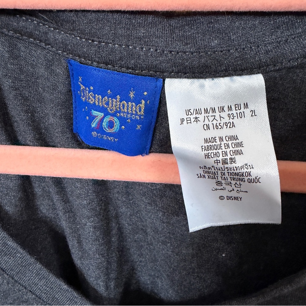 Disneyland Women's Charcoal V-Neck Tee with Colorful 70th Anniversary Logo - Picture 2 of 5